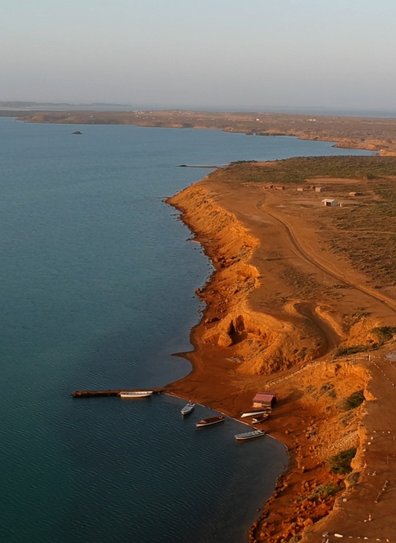 Guajiravert Guajira