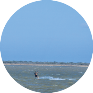 Manaure